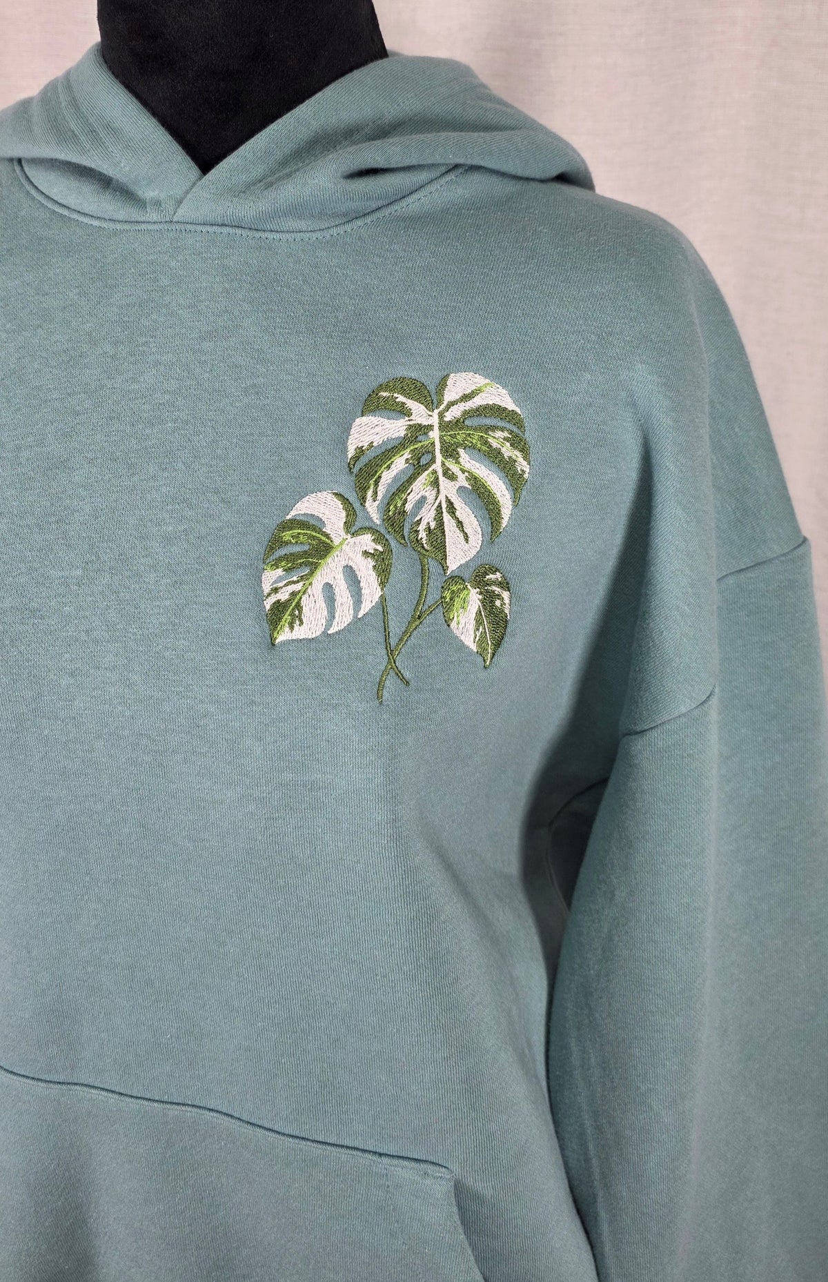 Monstera borsigiana 'albo' (front left w/Back outline)