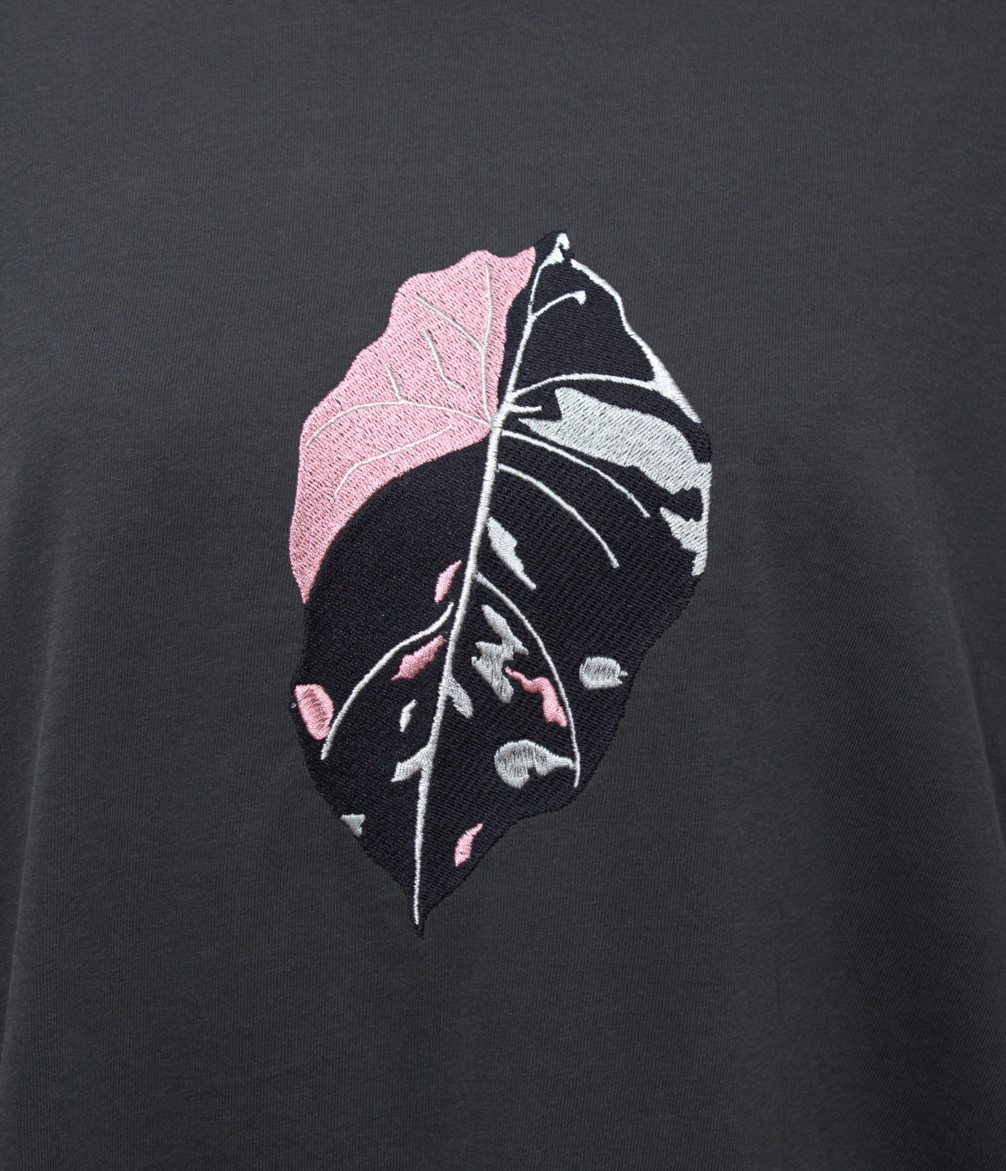 Alocasia pink black velvet Variegated