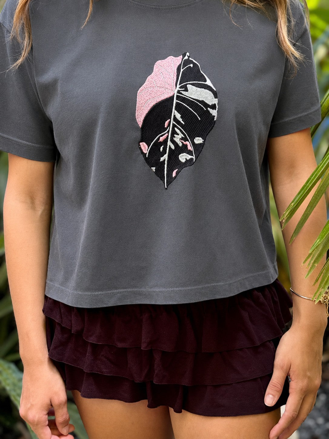 Alocasia pink black velvet Variegated