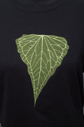 Anthurium "Delta Force"