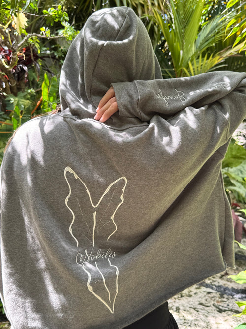 Alocasia Pink Nobilis