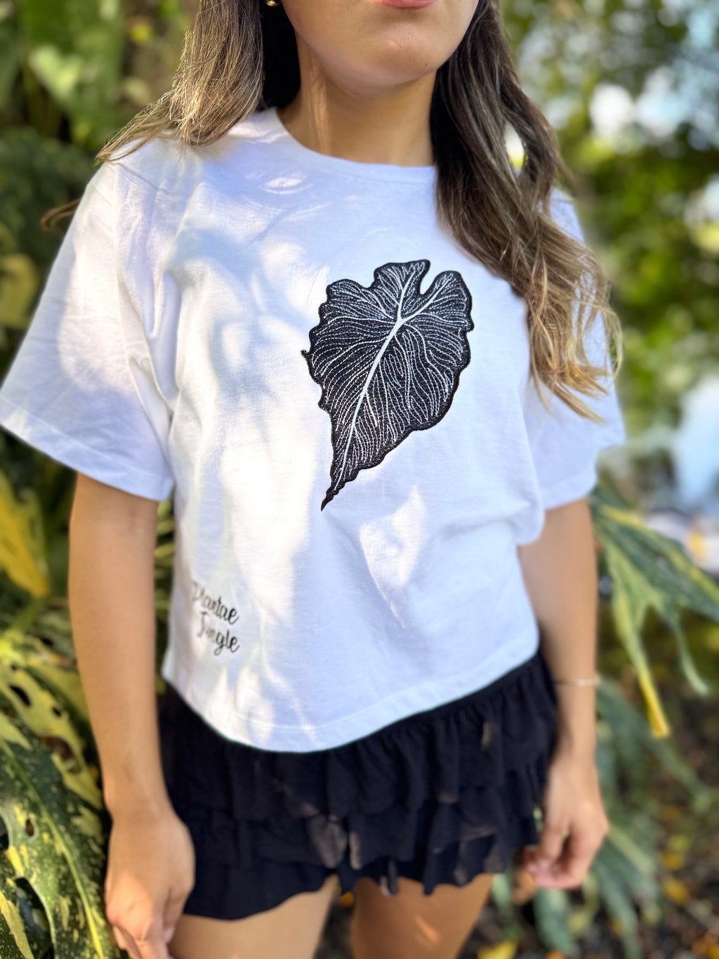 Alocasia ‘Venom'