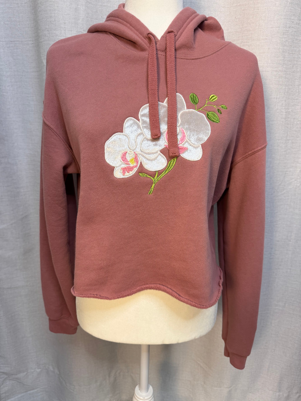 Orchid Phalaenopsis "White Bloom"