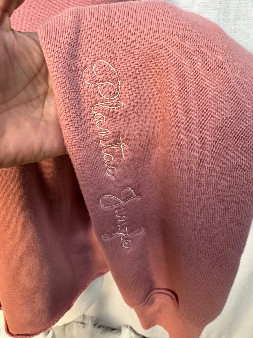 Orchid Phalaenopsis "White Bloom"