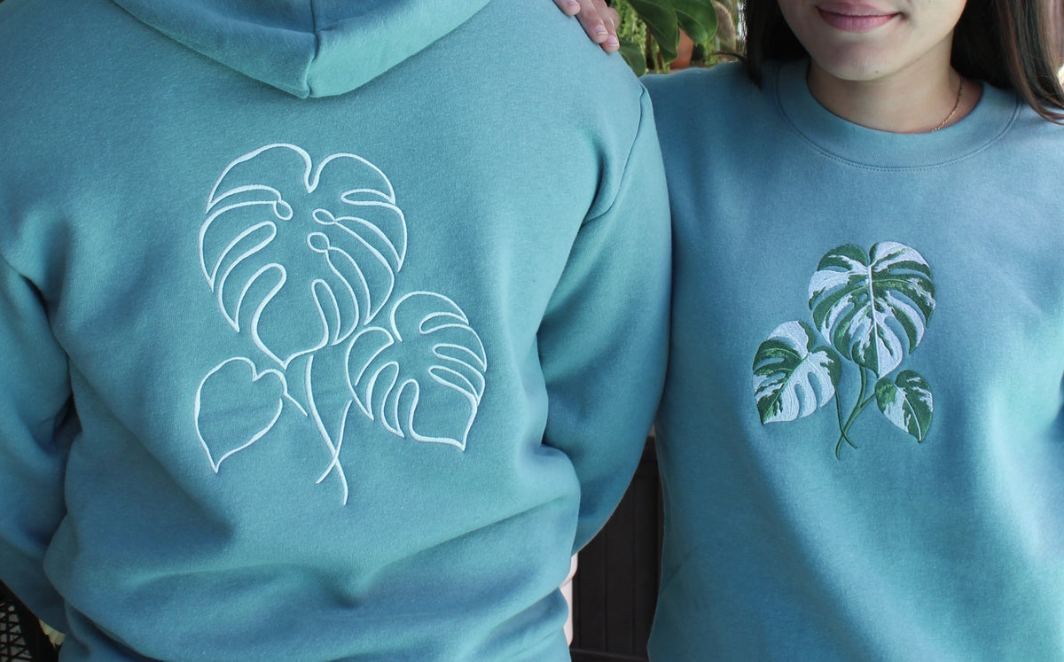Monstera borsigiana 'albo' (front left w/Back outline)