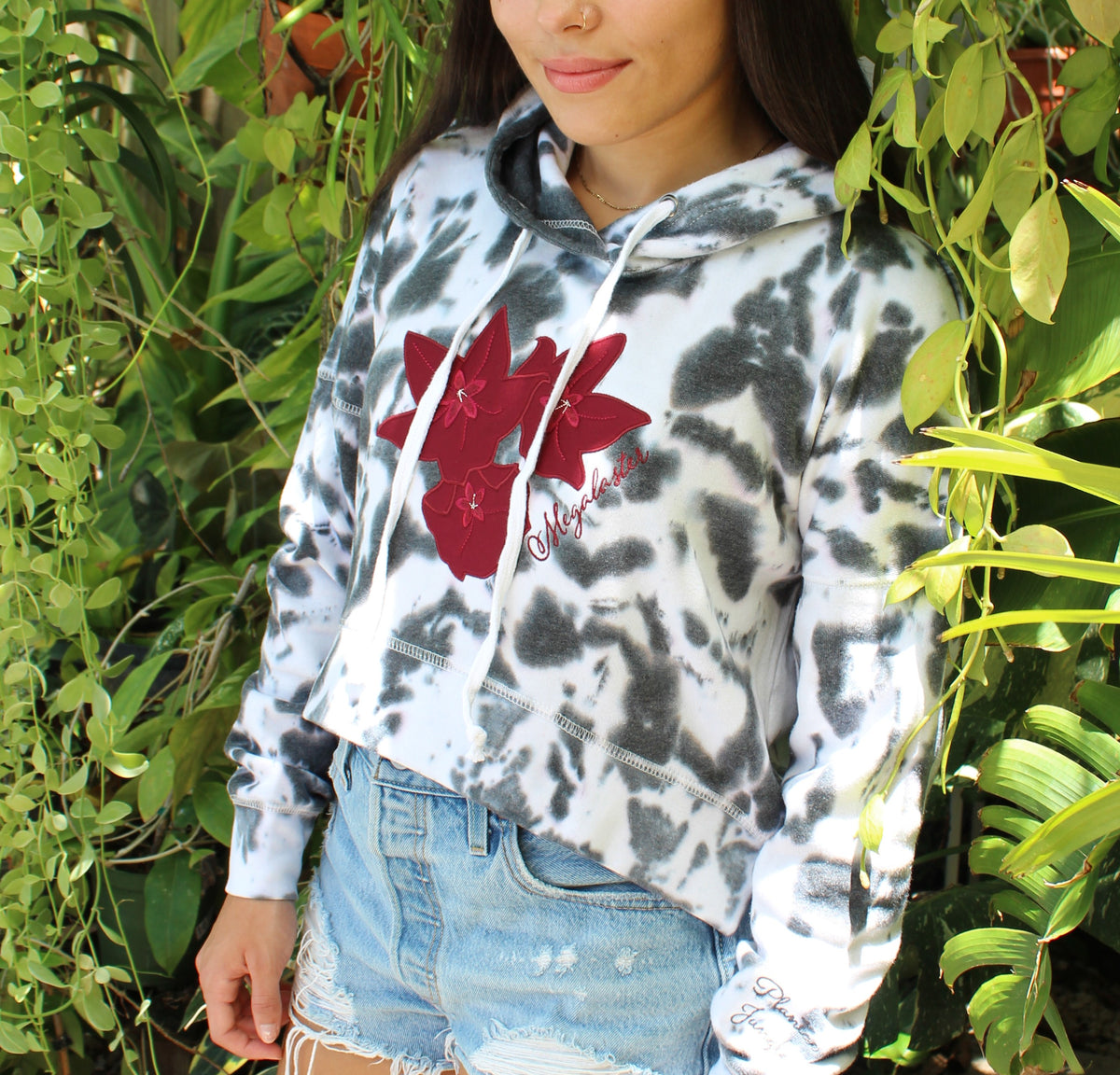 Hoya bloom - Megalaster w/ Mix materials applique
