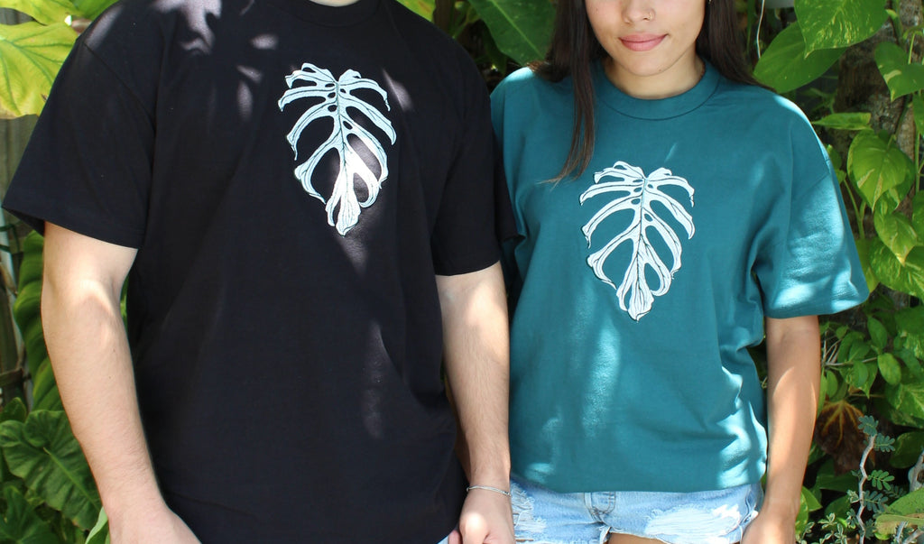 Monstera "Devil Monster"