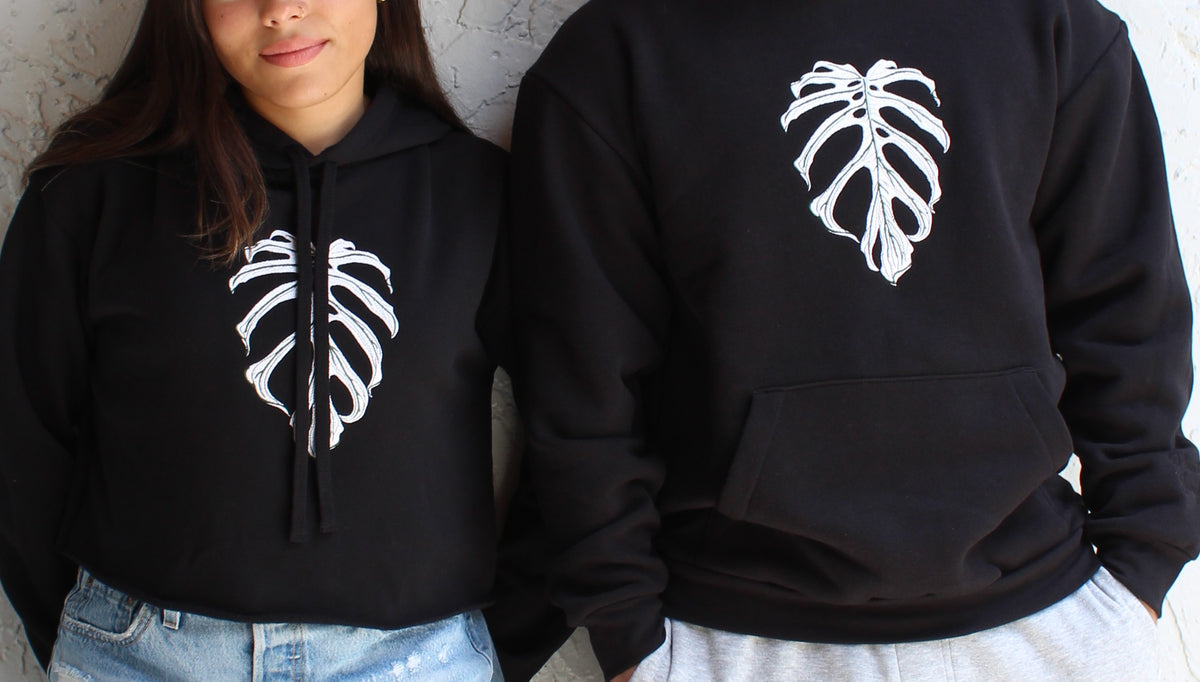 Monstera "Devil Monster"