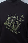 Platycerium ‘Superbum'