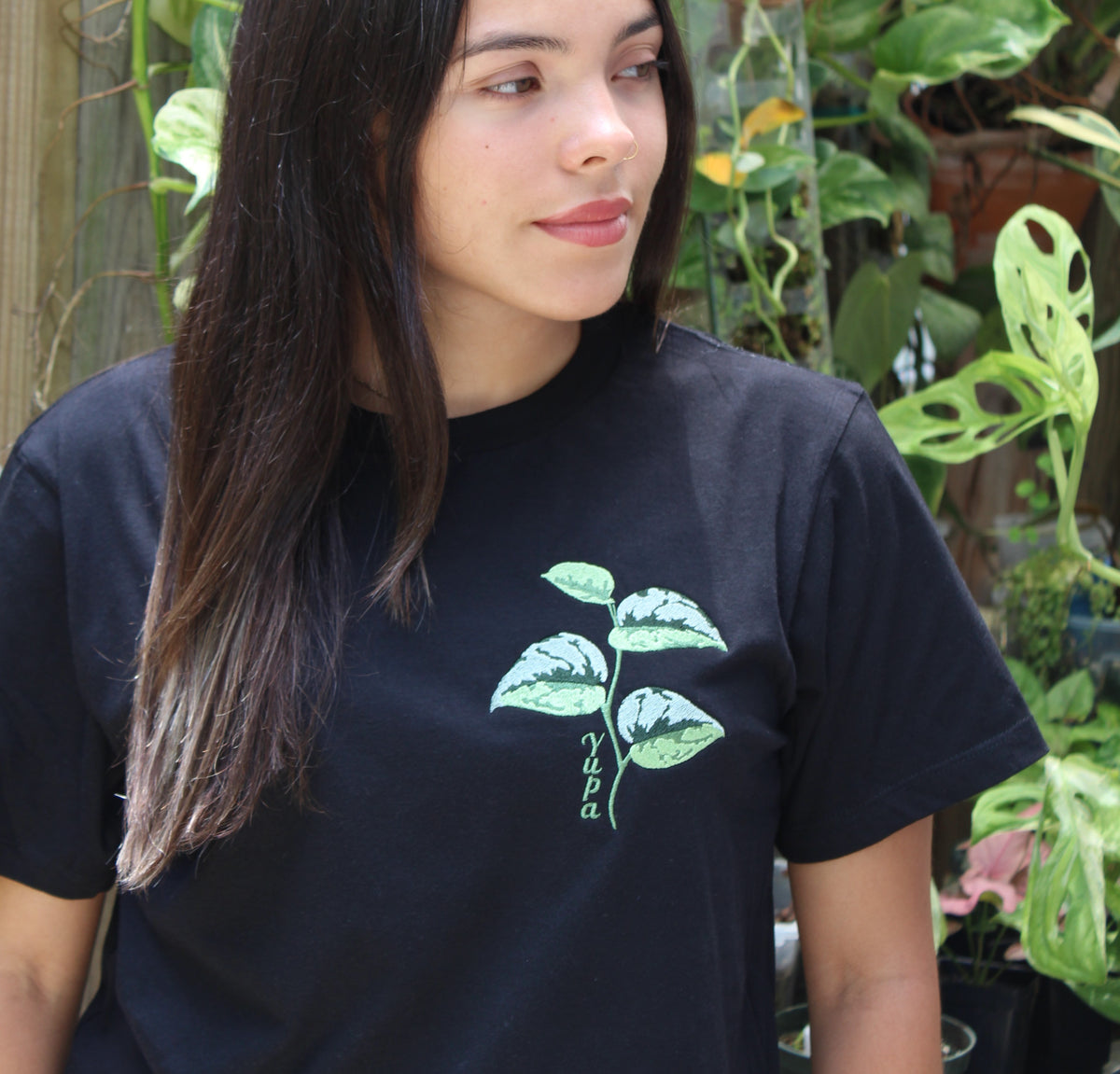 Scindapsus 'Yupa"