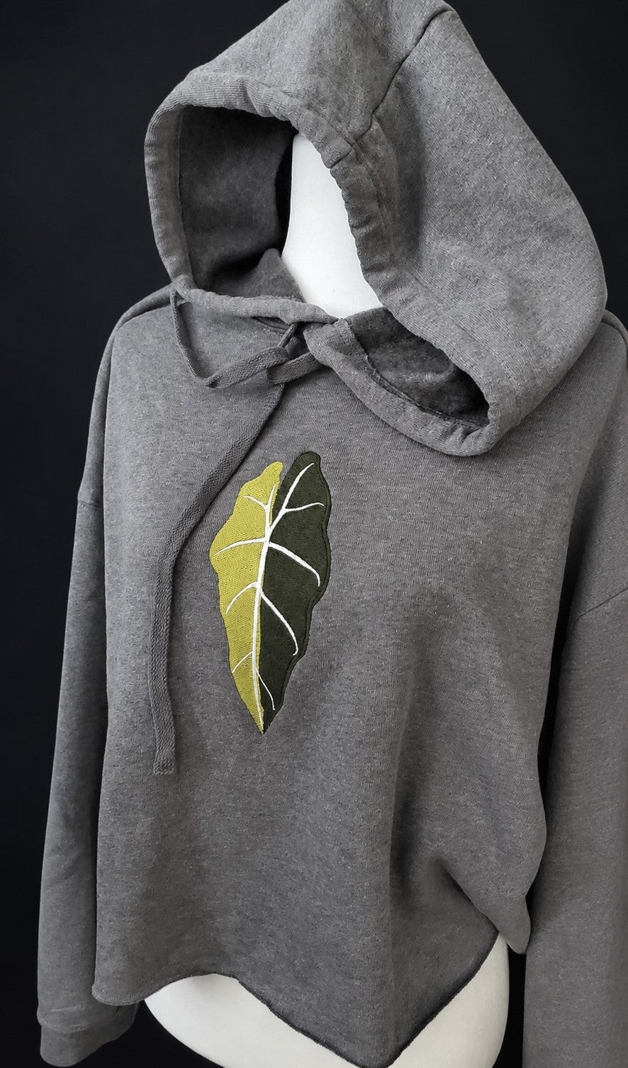 Alocasia ‘Amazonica Aurea’