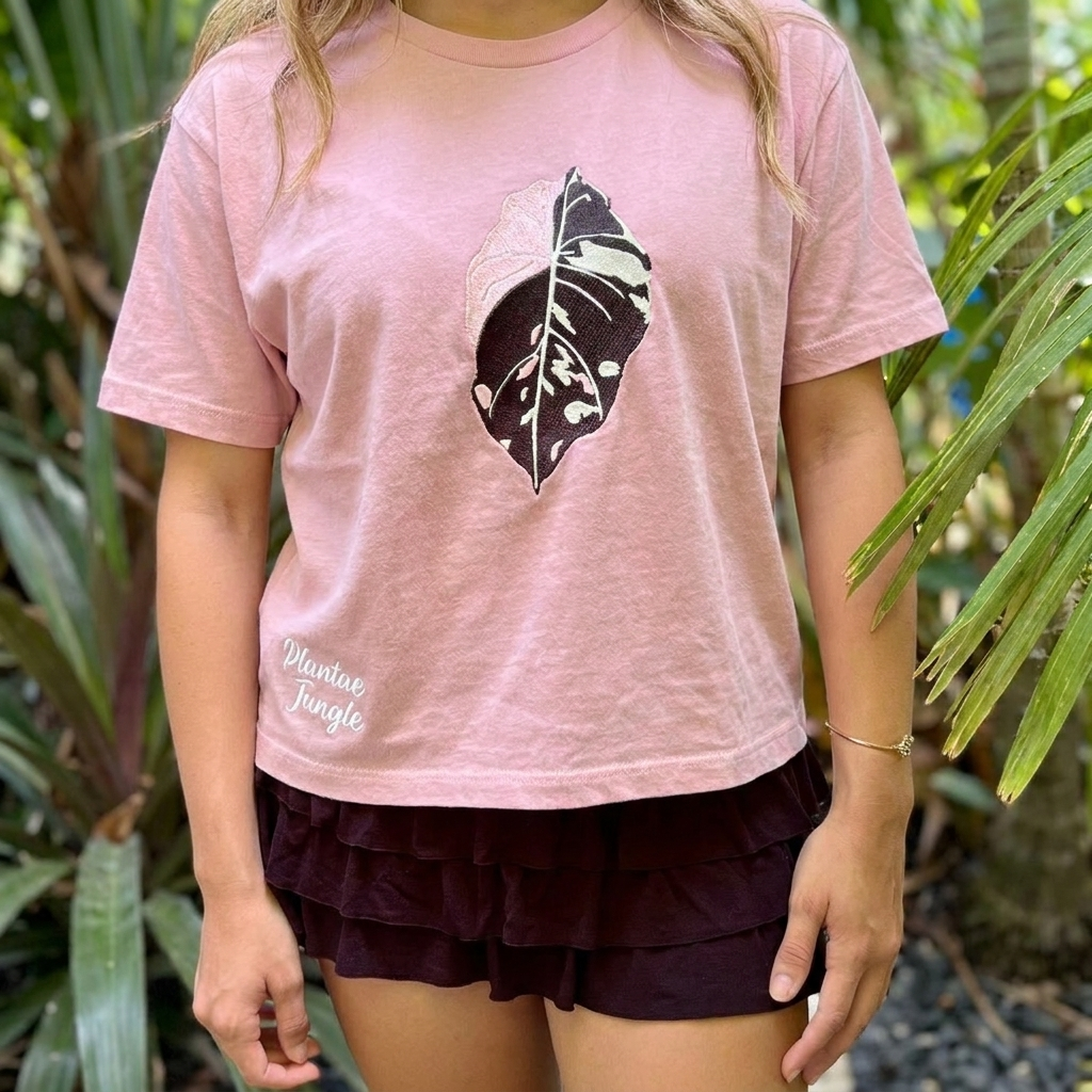 Alocasia Pink Black Velvet Variegated - Boxy T-shirt - Pink