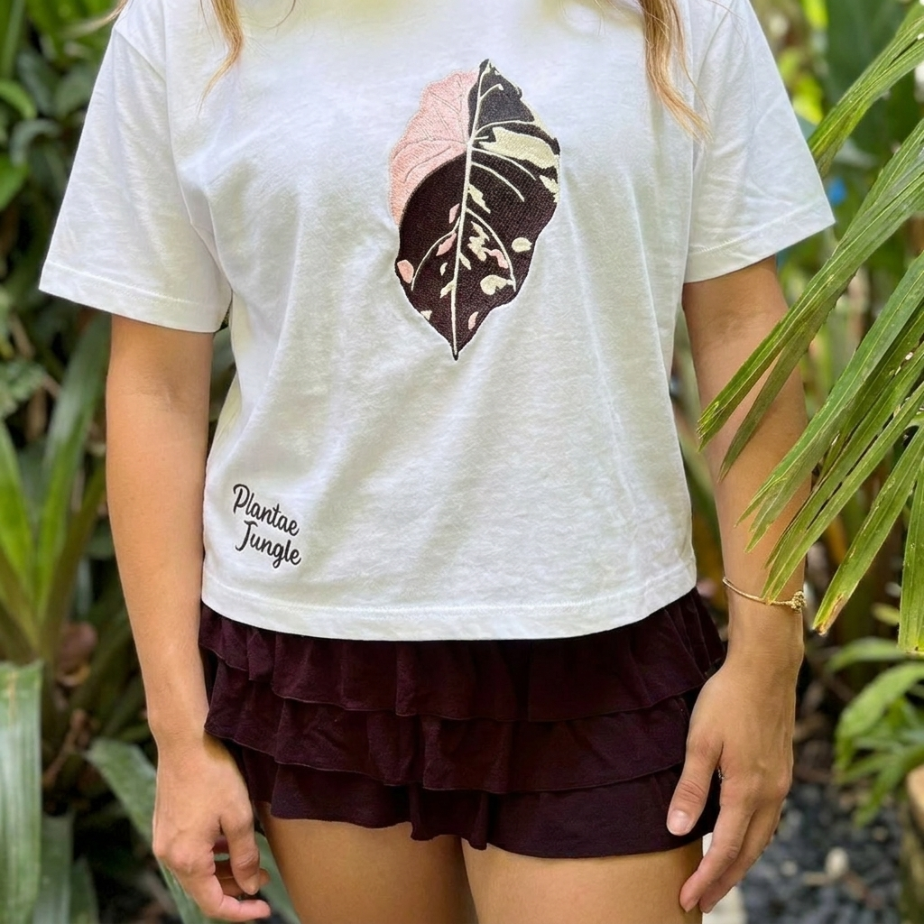 Alocasia Pink Black Velvet Variegated - Boxy T-shirt - White